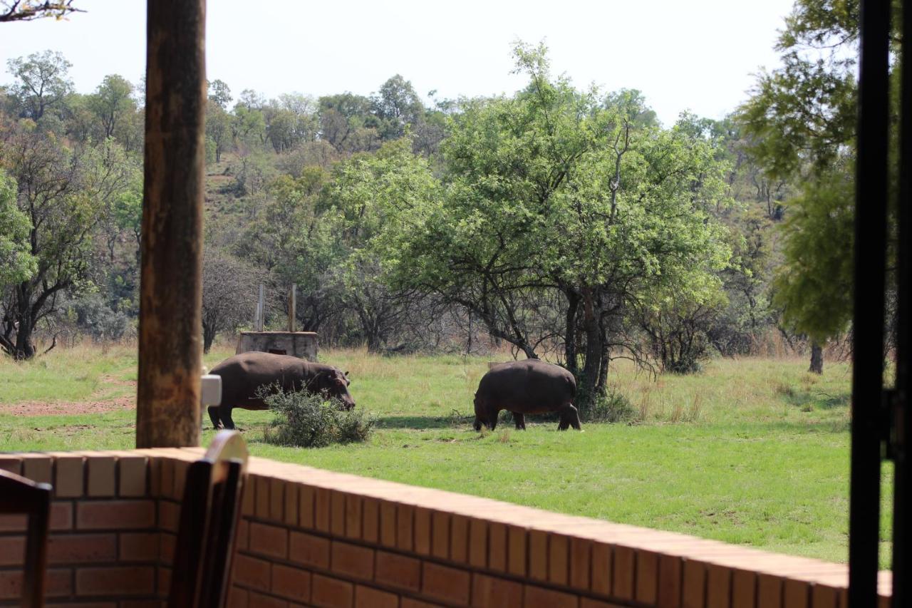 شقة Wilgeboomsdrift Safaris موديمول المظهر الخارجي الصورة