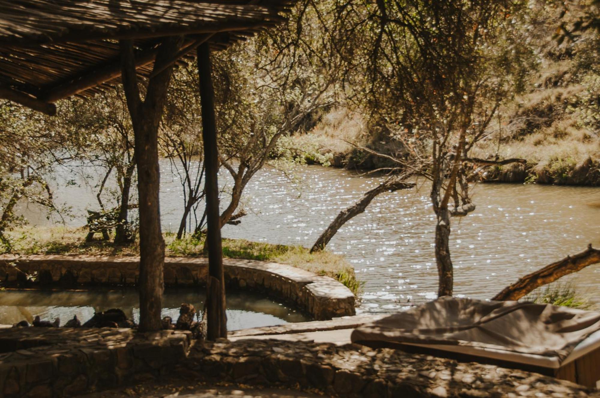 شقة Wilgeboomsdrift Safaris موديمول المظهر الخارجي الصورة